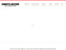 Tablet Screenshot of kanatcihaydar.com